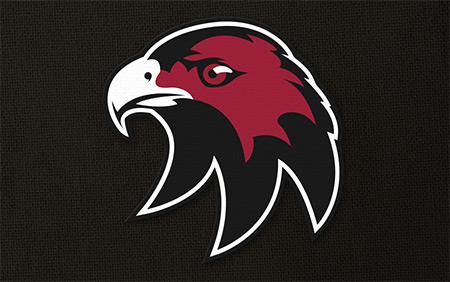 Cockburn Hawks Ice Hockey Club Logo Design & Brand Identity Perth WA